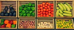freshfood-smartcitykitchens