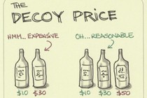 decoy effect